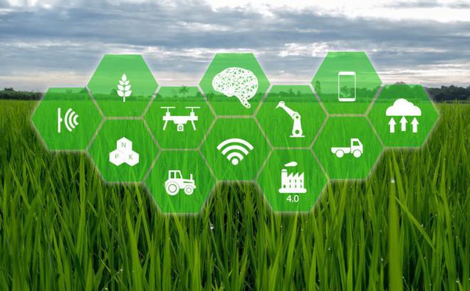 Edge Computing In Agriculture