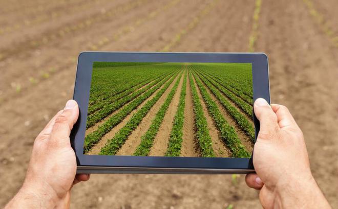 Edge Computing In Agriculture