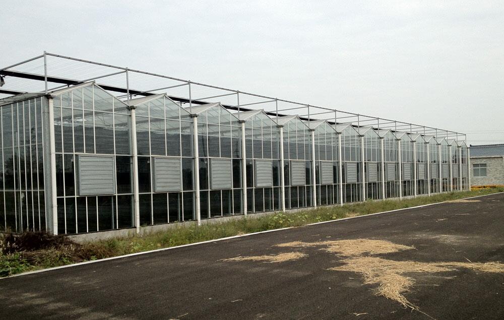 Edge Gateways: The Key to Healthy Crop Growth in Agricultural Greenhouses
