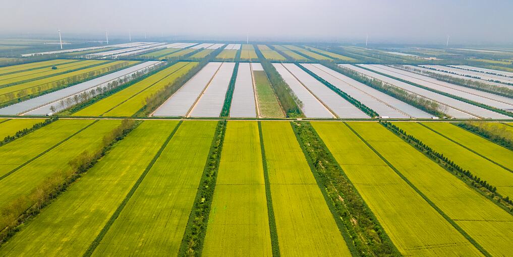 An Inventory of 10 Core Trends in China's Smart Agriculture Development